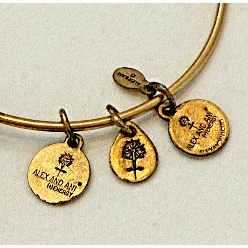 Disney Alex And Ani Hollywood Studios Sorcerer Hat Gold Bangle Charm Bracelet - Picture 6 of 9